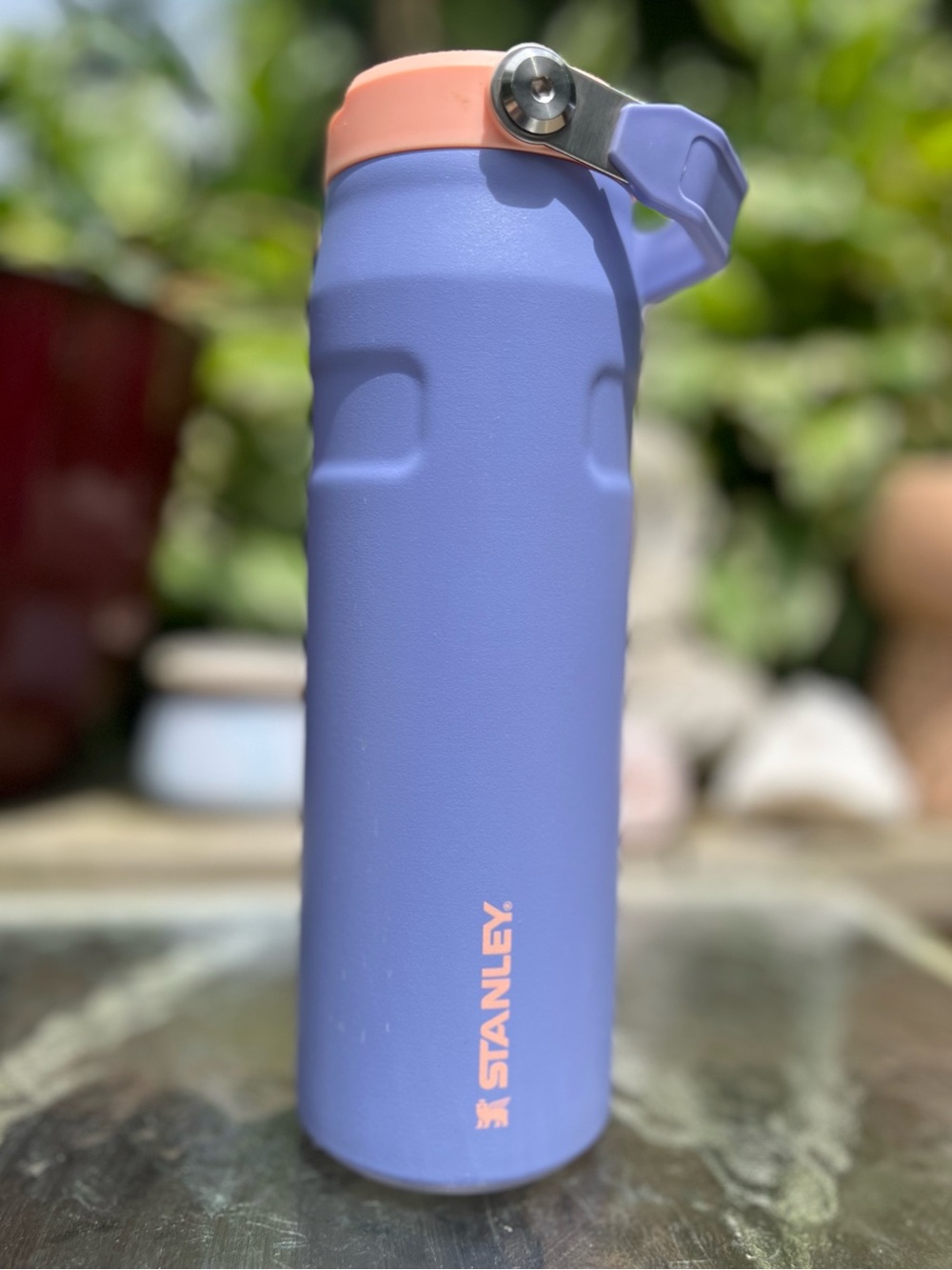 Stanley Purple 24oz